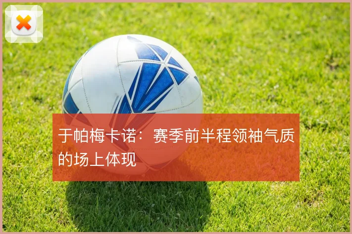 于帕梅卡诺：赛季前半程领袖气质的场上体现