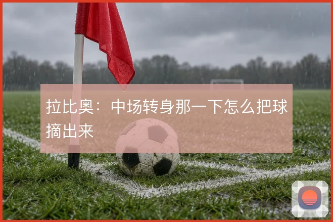 拉比奥:中场转身那一下怎么把球摘出来